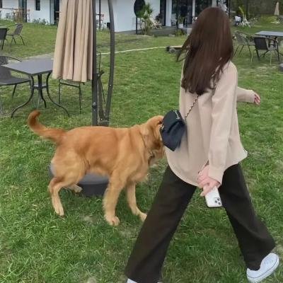 银杏阳台·终章海报